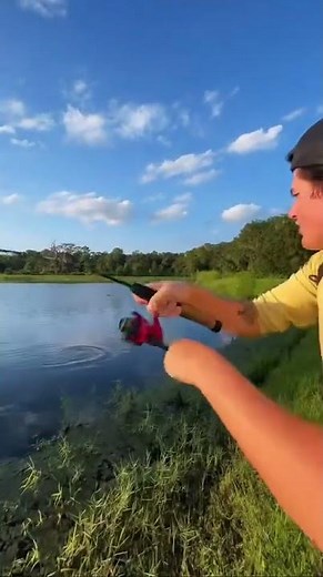 MONSTER BASS ON TINY ROD‼️ Ugly Stik Dock Runner #fishing #uglystik #freshwaterfish #pondfishing