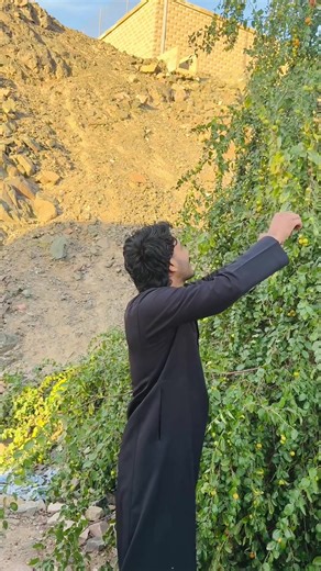 Exploring Saudi Arabia with Mr. Samrat