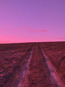 Beautiful Spring Sunset Vibe