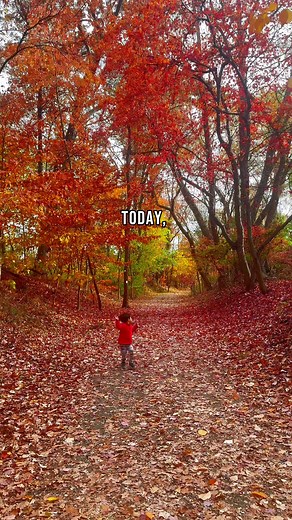 Izzy Wizzy Trocio Alcover | Jum Kenneth Evangelista Alcover