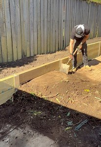 Discovering Unwanted Surprises in My Garden