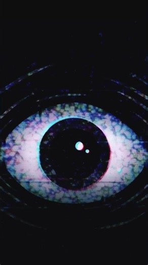 Harley Sawyer eyes