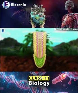 How Plants Grow From Inside Out #biology #science