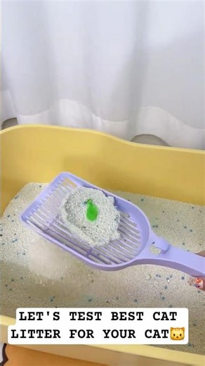 best cat litter review for cat parents #cat #pets #catessentials #catsupplies #catlitter #shorts