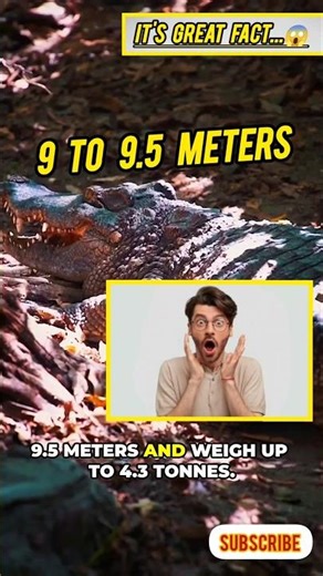 Giant Crocodile That Ruled Before Dinosaurs!😱#Sarcosuchus #SuperCroc #PrehistoricFacts #DinosaurEra