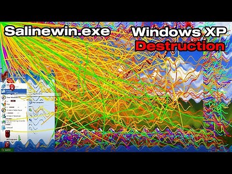 Running Salinewin.exe in Windows XP