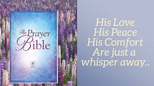 4.2K views · 150 reactions | The Prayer Bible makes it easy and...
