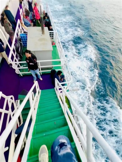 Discover the Melodic Beauty of Song X