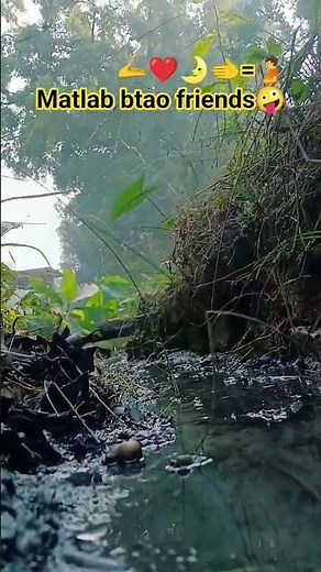 saiyara tu to badla Short status❤️#naturelovers #trending #ytshorts