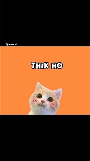 kaise ho?🫠🫶#hello#youtubeshorts #cbse#12thclass #exampreparation #struggle #motivation