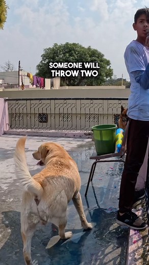 TYSON | YOUR CHILD DESERVES ROAD❌ Abandoning a Pet tells how irresponsible you are! It’s unfortunate that People like you have Children at all!... | Instagram