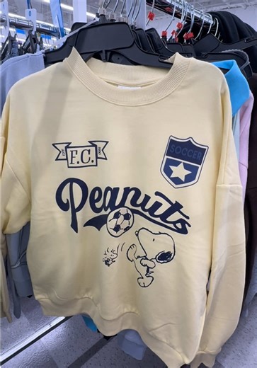 Snoopy: The Joy of Adventure and Friendship