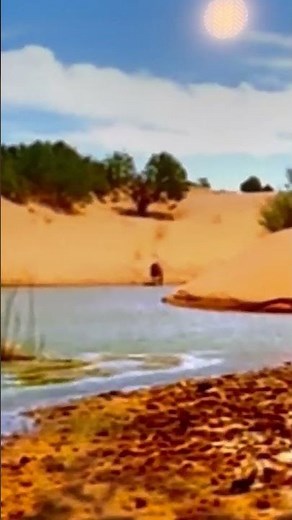 Walking with beasts subhyracodon 🦏 in episode land of giants