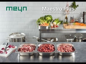 Meyn® Maestro Plus