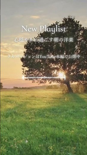 【朝の作業用BGM】心穏やかに迎える朝 🌿 やさしく整う洋楽 Acoustic Chill 🎧｜朝の身支度・コーヒータイムに｜Chill & Relax Playlist #Shorts