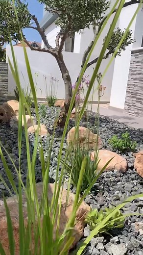 🌳 🌱 🏡 ☀️ 🌳 . . . . #garden #gardendesign #gardenplan #plants #tree #artificialgrass #gardener #houseplan #landscapedesign #landscape #diy #cyprus #ayianapa #larnaca #protaras #nicosia #limassol #paphos #summer #summertime #fyp #trending #trending #viral #viralvideo #trendingviralvideo #fypシ #foryou #foryoupage #foryoucy #foryoucyprus