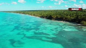 46K views · 769 reactions | Survivor Romania on Reels | Facebook