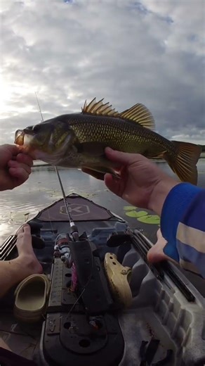 big beautiful aussie model