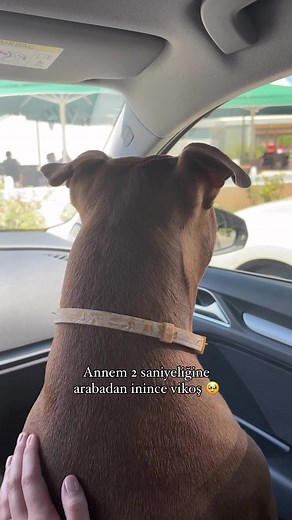 Eda Fırat TikTok'ta