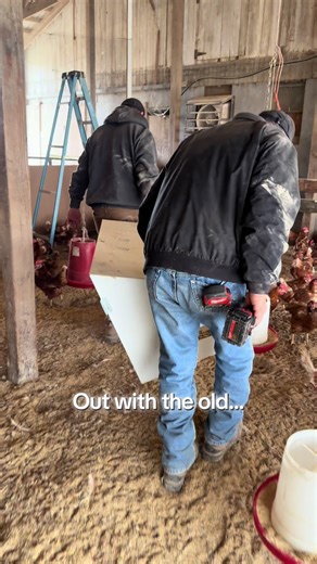 Sometimes the behind-the-scenes changes don’t look like much, but they matter. 🤍 Replacing laying nests might seem like a small update, but we’re always looking for ways to improve comfort, flow, and care for our hens. Right now, we have around 450 laying hens producing eggs here on the farm. Tomorrow, we’re welcoming 250 pullets—young hens who haven’t started laying yet, but will in about a month. 🐣 That meant we needed to prepare the right space for them. Our oldest group of hens (about 200 