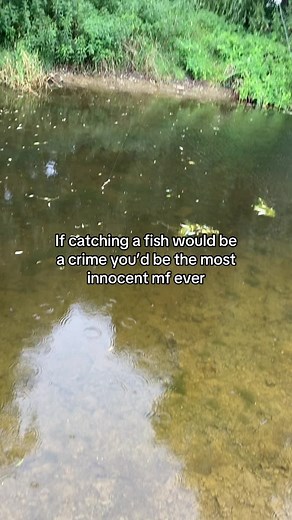 Catch Fish Like a Pro with Your Best Buddy