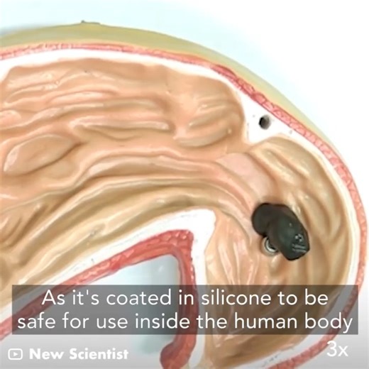 230K views · 640 reactions | This poop-looking robot could one day perform tasks inside the human body. | GIGadgets | Facebook