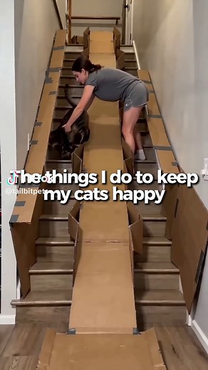 DIY Indoor Cardboard Cat Slide - Will My Cats Love It?