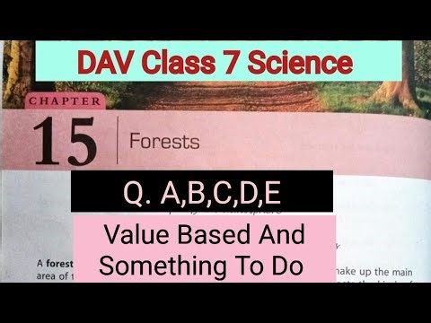 Forests DAV Class 7 Science Chapter 15 Question Answer/Value Based And Something To Do/Arpita Kaushi