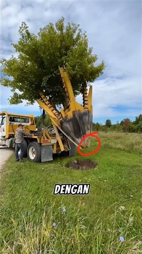 tree jacking machine #shortvideos