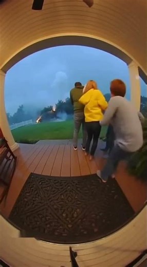 Lightning Strikes Tree, Tree Explodes