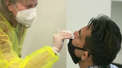 How rapid Covid testing could bring employees back to work