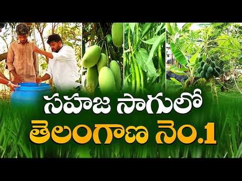 Organic Farming Demand Rising | Telangana Leading Natural Agriculture in India || Idi Sangathi