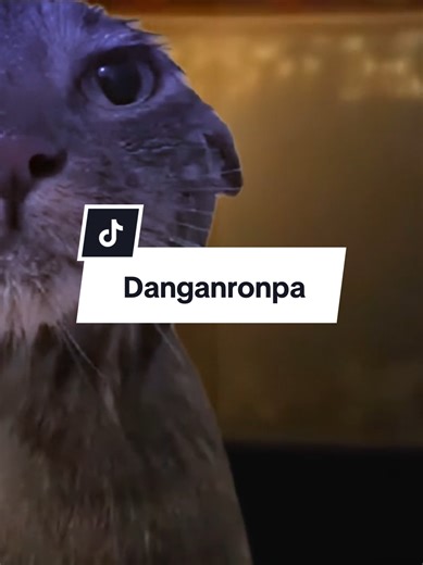 Danganronpa Meme Templates and Trends