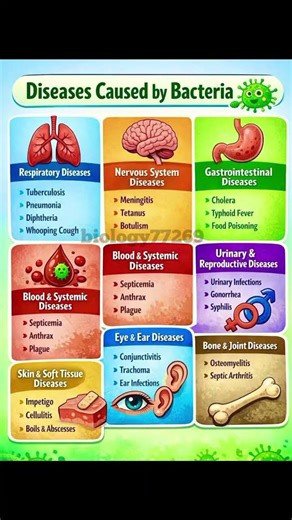 ✔️Educational chart of Bacterial diseases in Humans.#Science &education#healthawareness.
