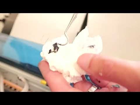 How to CLEAN your DTF Printer #2