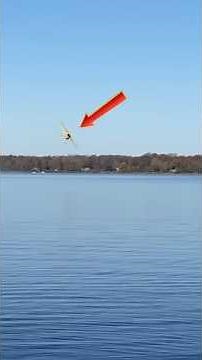 Heart Stopping Moments During Dangerous Landings #shorts