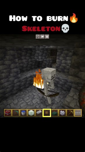 How to burn skeleton in minecraft #minecraft