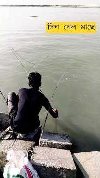 শীতকাল যমুনা নদীতে কাল বাউস মাছ ধরা | December fishing | #fishing #maxfishingofficial #jamuna