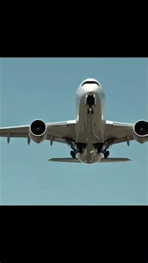 plen #commercialaircraft #aviation #automobile #boeing737max #landing #b787 #boeingaircraft #planes