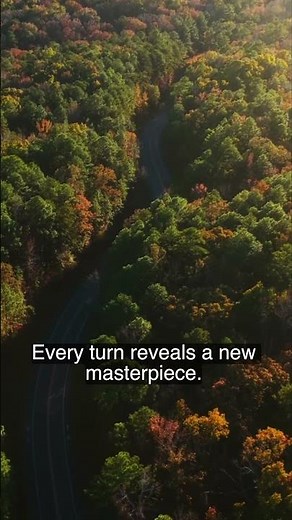 Autumn Forest Road: Nature’s Perfect Escape. #Alabama