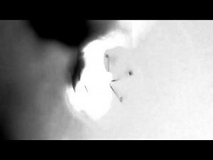 vacemadest - Флексинг Идол (snippet)