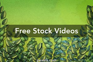 Wedding Animated Wallpaper Videos, Download The BEST Free 4k Stock Video Footage & Wedding Animated Wallpaper HD Video Clips