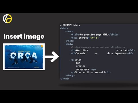 Insertion d'image sur HTML CSS