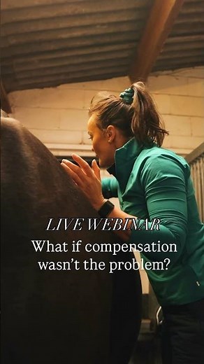 Horse lameness is the symptom- read the description #thehorselistener # #horsechiropractor