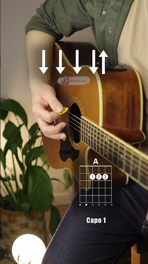 Green Day - Boulevard Of Broken Dreams | Strumming Pattern