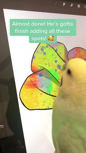 Drawing a Ball Python with Unique Techniques