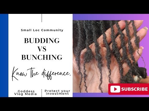Budding vs. Bunching | Small Lock Bunching | Lock Damage | Starter Lock Issues