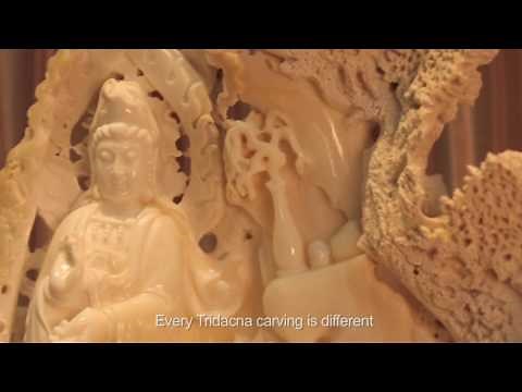 Incredible carvings on clam shells