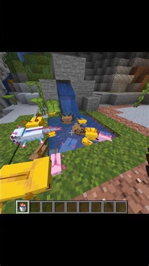 AMERICA YA! 😀 Minecraft Cute Moment ✨ #shorts #voxrumc #minecraft