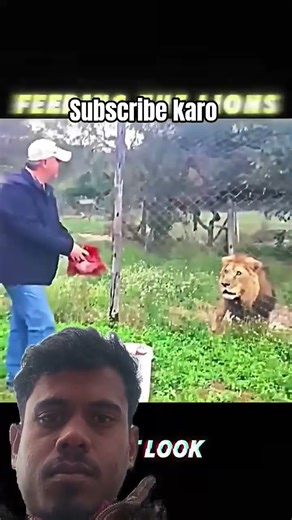 This Is Why the Lion Is King👑 #trending #animals #wildlife #lion #youtubeshorts #viral